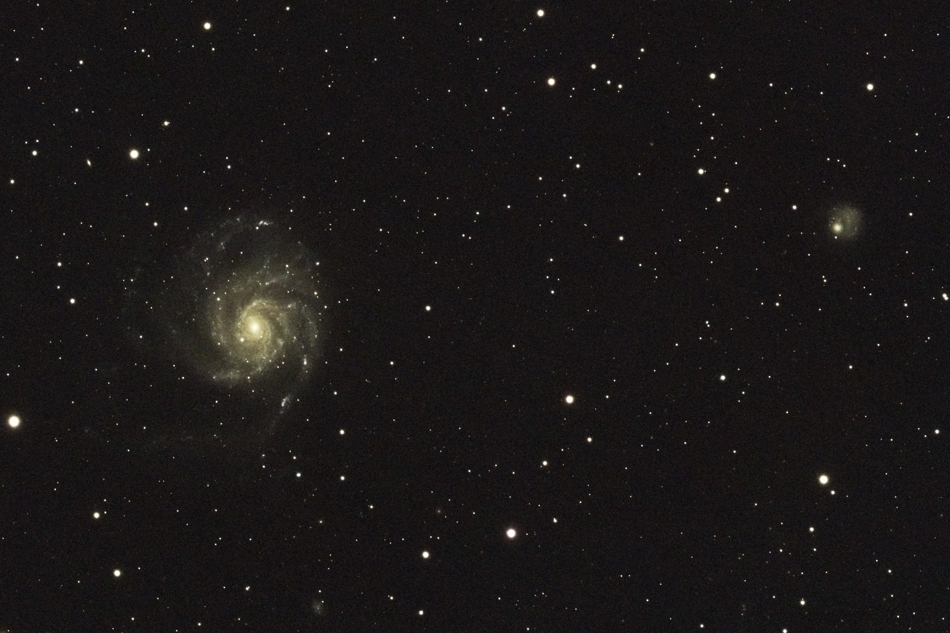 the complex spiral of M101 looks relatively small in the centre-left of this image, with the small blob of NGC 5474 to the upper-right