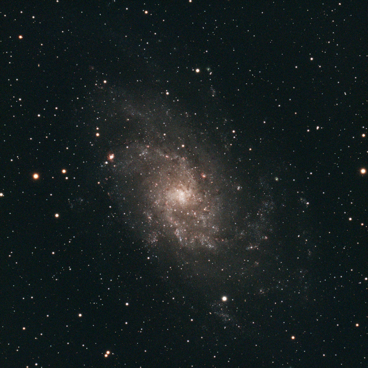 the slightly elliptical-looking spiral of M33 fills most of the frame in this image, with fine detail such as dust lanes and nebulae clearly visible in the arms leading from its bright core