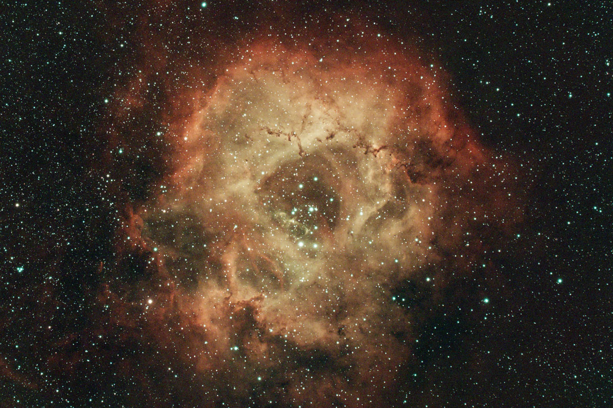 The reddish rose-flower shaped gas of the rosette nebula fills this image, with a cluster of bright jewel-like stars at its centre