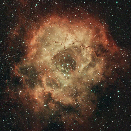 The reddish rose-flower shaped gas of the rosette nebula fills this image, with a cluster of bright jewel-like stars at its centre