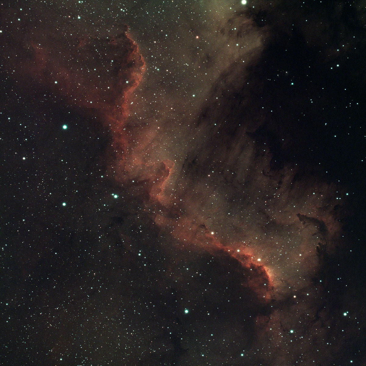 the focus of this image is the illuminated right edge of a billowing cloud of gas running diagonally across the frame through a sea of stars, partially obscured by very dark clouds on the right, with the bright area between somewhat resembling the lower part of the continent of north america